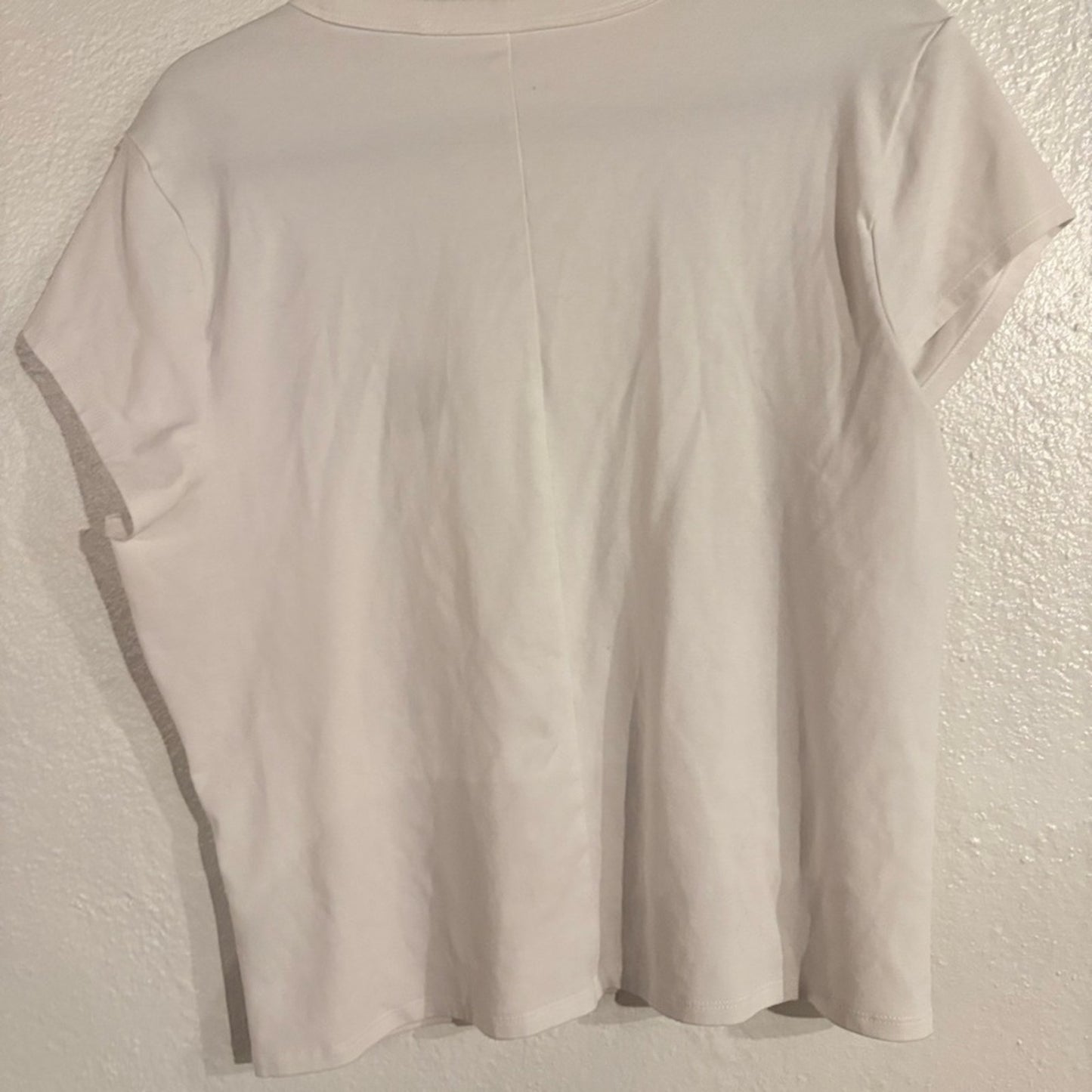 Free People Soft Blush Short Sleeve Crewneck Tee